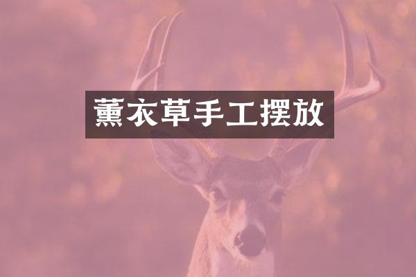 薰衣草手工摆放