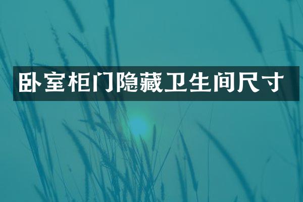 卧室柜门隐藏卫生间尺寸