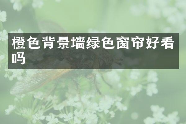 橙色背景墙绿色窗帘好看吗