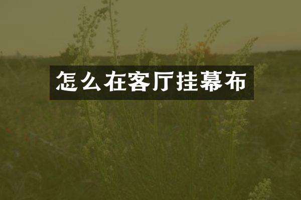 怎么在客厅挂幕布
