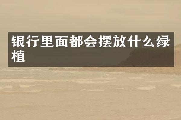 银行里面都会摆放什么绿植