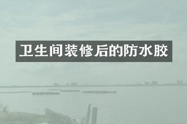 卫生间装修后的防水胶