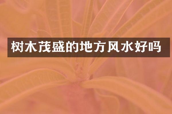 树木茂盛的地方风水好吗