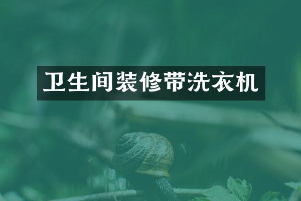 卫生间装修带洗衣机