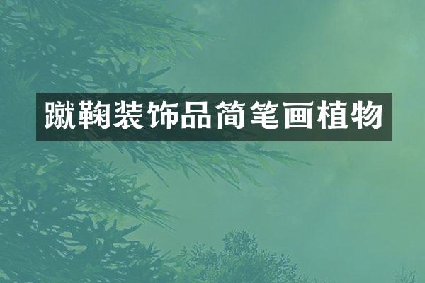 蹴鞠装饰品简笔画植物