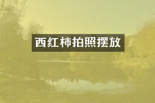 西红柿拍照摆放
