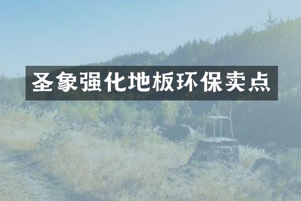 圣象强化地板环保卖点