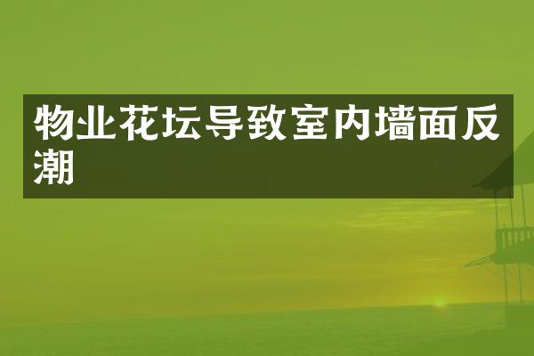 物业花坛导致室内墙面反潮