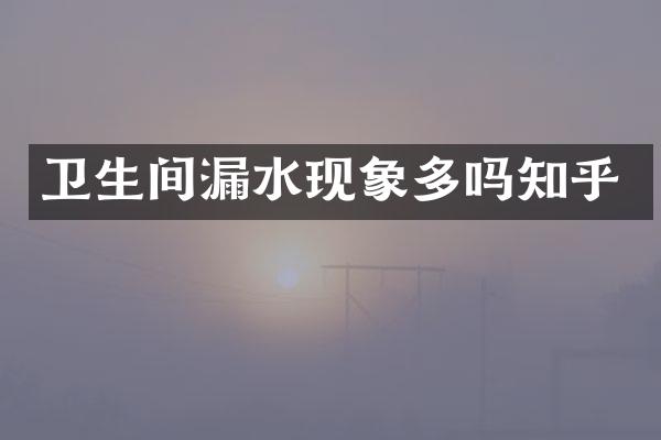 卫生间漏水现象多吗知乎