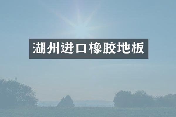 湖州进口橡胶地板