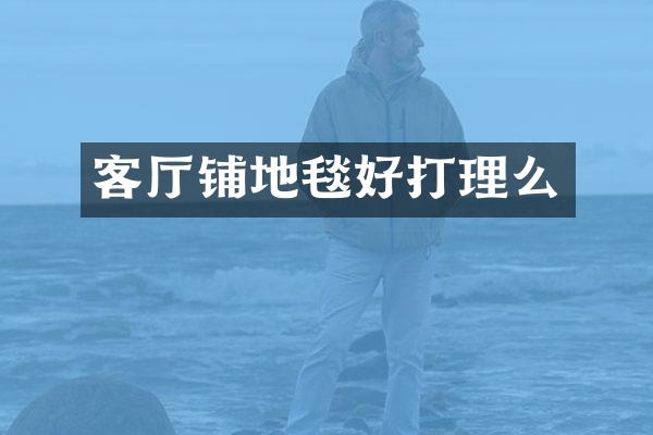 客厅铺地毯好打理么