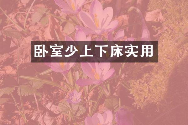卧室少上下床实用