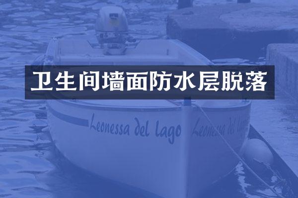 卫生间墙面防水层脱落
