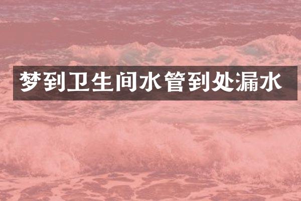 梦到卫生间水管到处漏水