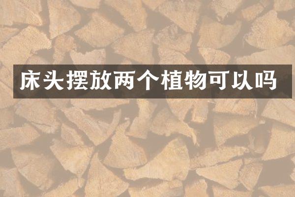 床头摆放两个植物可以吗