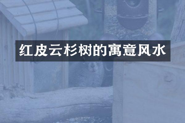 红皮云杉树的寓意风水