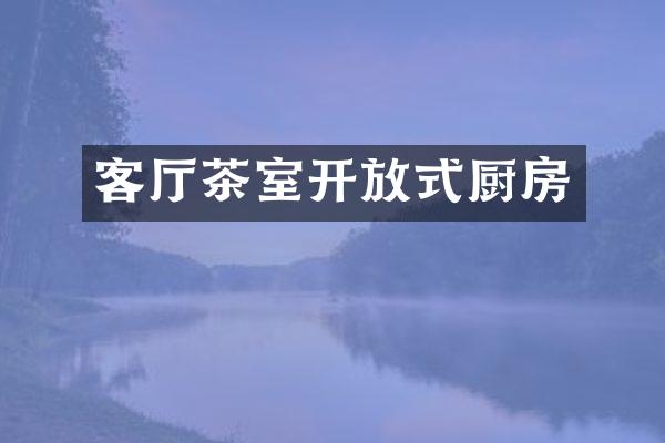 客厅茶室开放式厨房