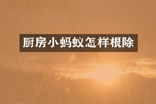 厨房小蚂蚁怎样根除