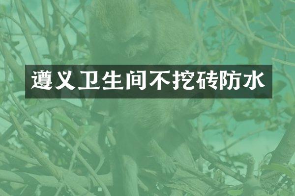 遵义卫生间不挖砖防水