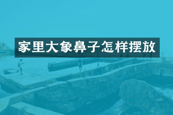 家里大象鼻子怎样摆放