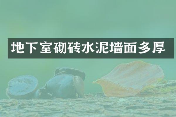 地下室砌砖水泥墙面多厚