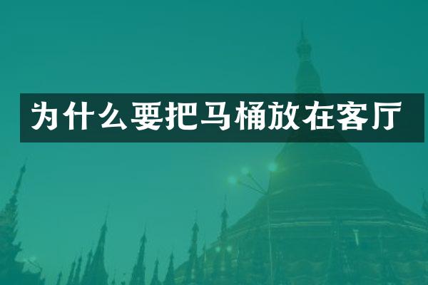 为什么要把马桶放在客厅