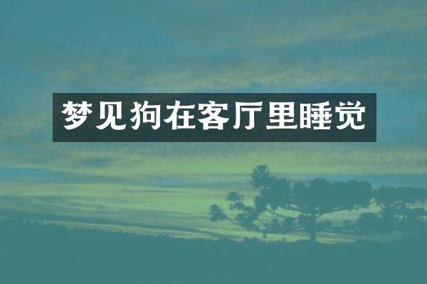 梦见狗在客厅里睡觉
