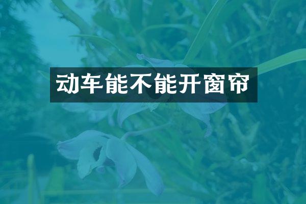 动车能不能开窗帘