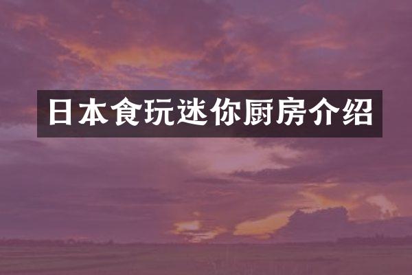 日本食玩迷你厨房介绍