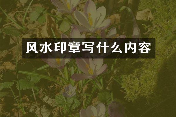 风水印章写什么内容