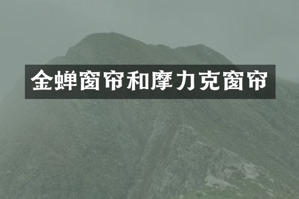 金蝉窗帘和摩力克窗帘