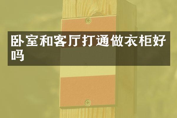 卧室和客厅打通做衣柜好吗