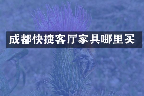 成都快捷客厅家具哪里买
