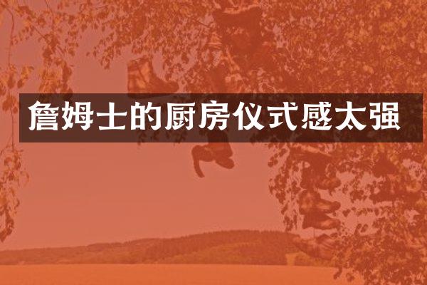 詹姆士的厨房仪式感太强