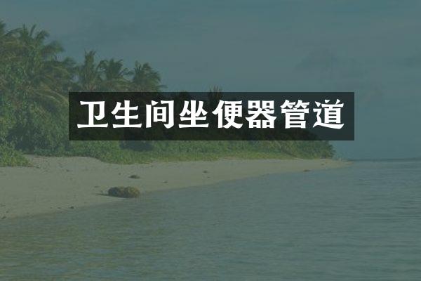 卫生间坐便器管道