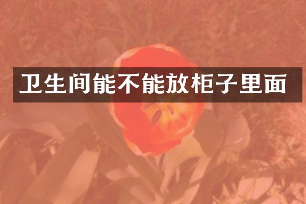 卫生间能不能放柜子里面