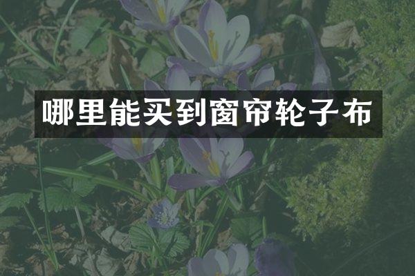 哪里能买到窗帘轮子布