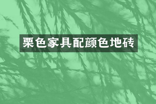 栗色家具配颜色地砖