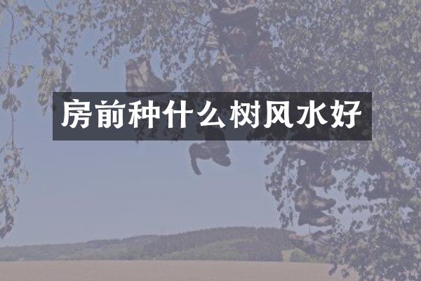房前种什么树风水好