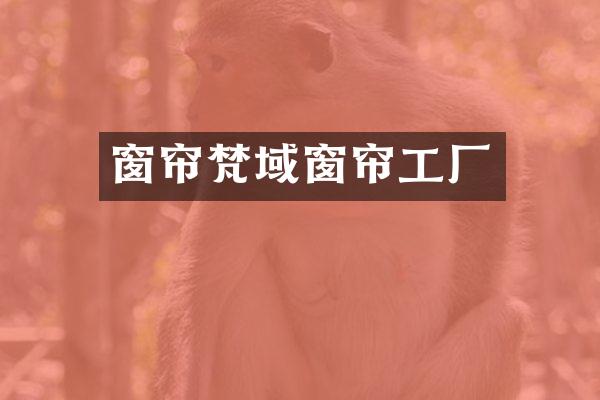 窗帘梵域窗帘工厂