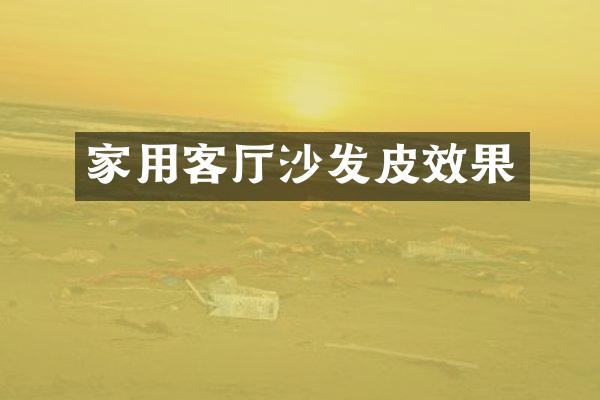 家用客厅沙发皮效果