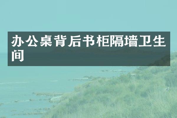 办公桌背后书柜隔墙卫生间