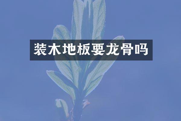 装木地板要龙骨吗