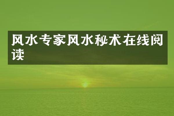 风水专家风水秘术在线阅读