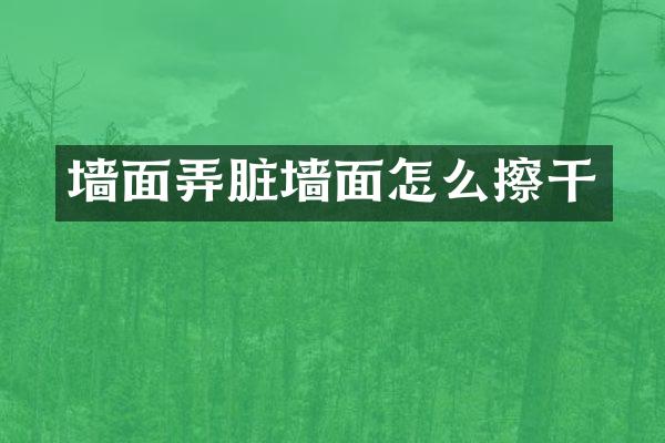 墙面弄脏墙面怎么擦干