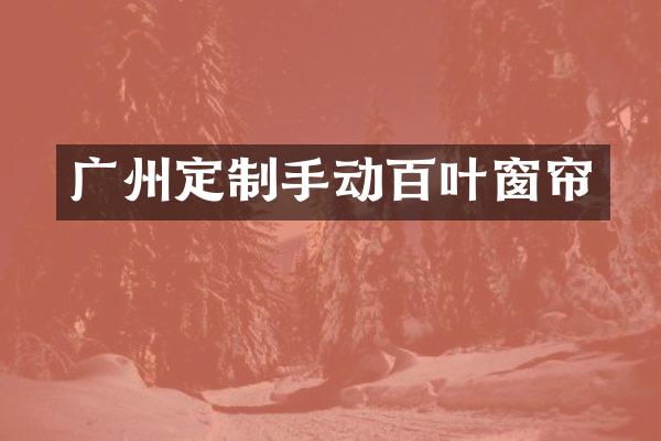 广州定制手动百叶窗帘