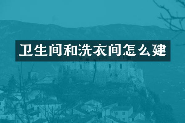 卫生间和洗衣间怎么建