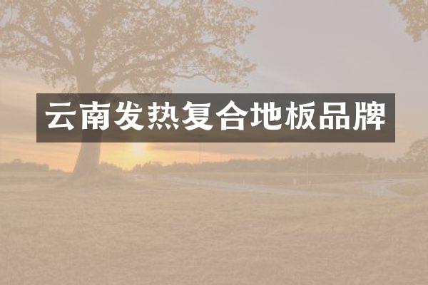 云南发热复合地板品牌