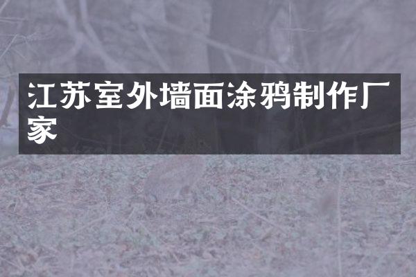 江苏室外墙面涂鸦制作厂家
