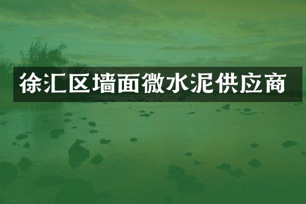 徐汇区墙面微水泥供应商